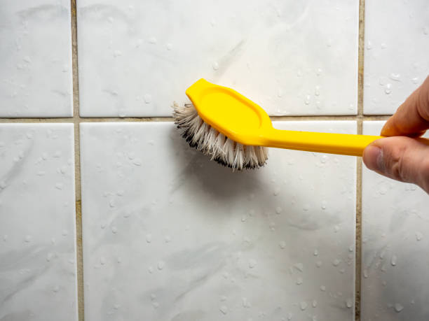 Home Mold Removal in Temple, GA