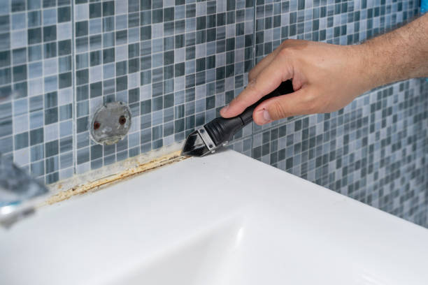 Best Professional Mold Removal  in Temple, GA